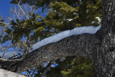 DSC_4912 (Large).JPG